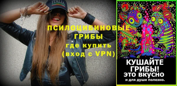 винт Алзамай