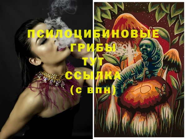 apvp Абинск