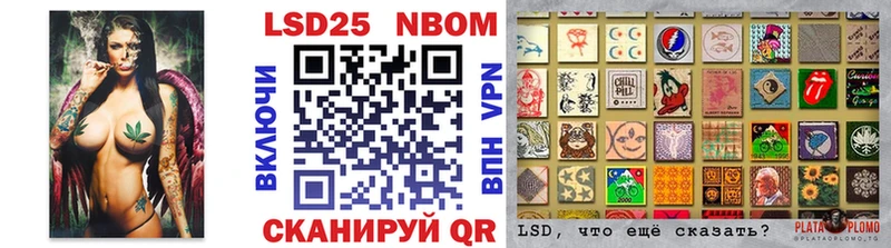 купить наркотики цена  Западная Двина  Наркотические марки 1,8мг 