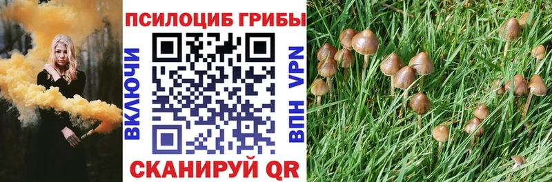 ОМГ ОМГ рабочий сайт  Западная Двина  Галлюциногенные грибы мухоморы  где продают наркотики 